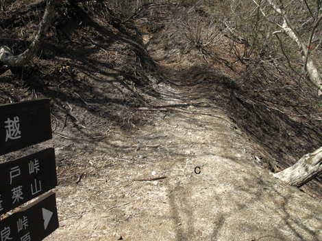 20140502hike (300)